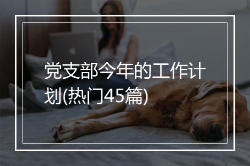 党支部今年的工作计划(热门45篇)