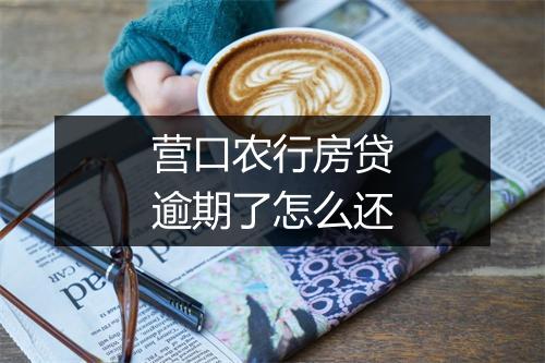 营口农行房贷逾期了怎么还