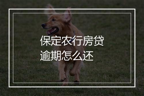保定农行房贷逾期怎么还