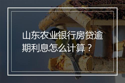 山东农业银行房贷逾期利息怎么计算？