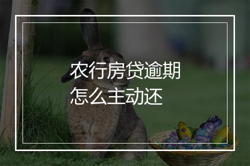 农行房贷逾期怎么主动还