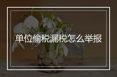 单位偷税漏税怎么举报