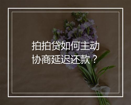 拍拍贷如何主动协商延迟还款？