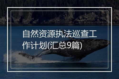自然资源执法巡查工作计划(汇总9篇)