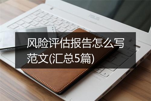 风险评估报告怎么写范文(汇总5篇)