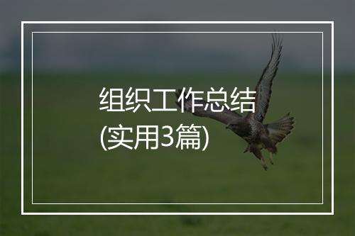 组织工作总结(实用3篇)