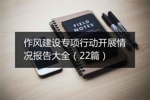 作风建设专项行动开展情况报告大全（22篇）