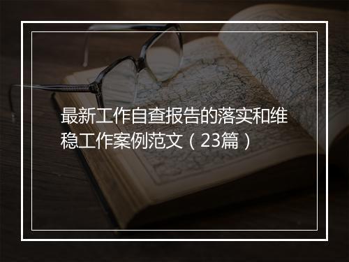最新工作自查报告的落实和维稳工作案例范文（23篇）
