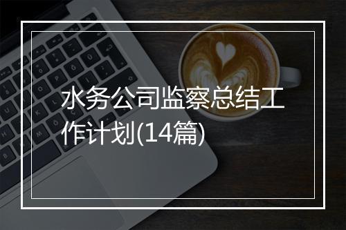 水务公司监察总结工作计划(14篇)