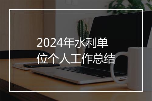 2024年水利单位个人工作总结