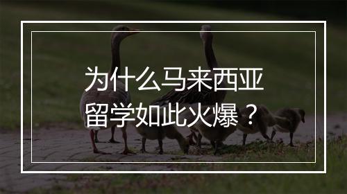 为什么马来西亚留学如此火爆？