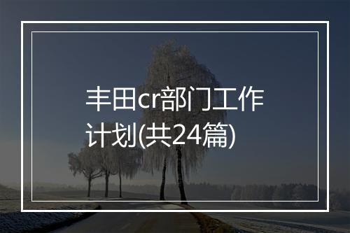 丰田cr部门工作计划(共24篇)