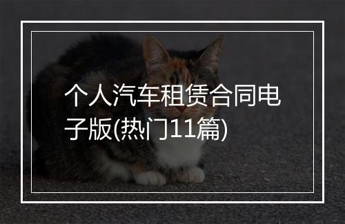 个人汽车租赁合同电子版(热门11篇)