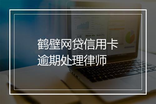 鹤壁网贷信用卡逾期处理律师