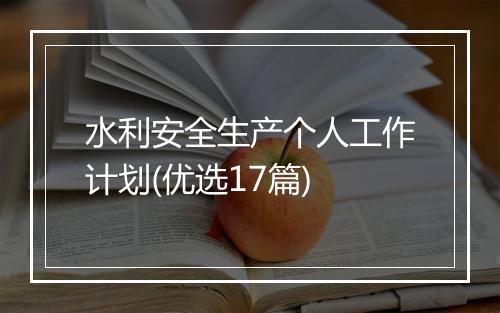 水利安全生产个人工作计划(优选17篇)
