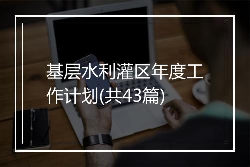 基层水利灌区年度工作计划(共43篇)