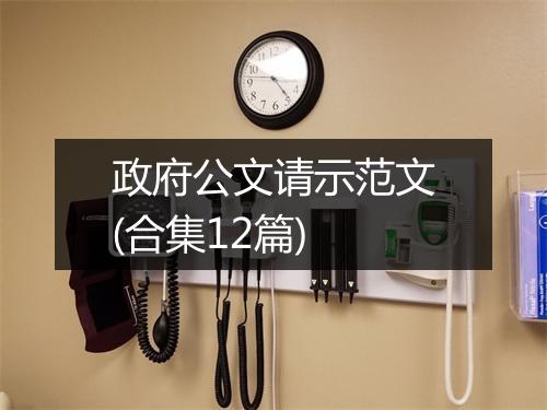 政府公文请示范文(合集12篇)