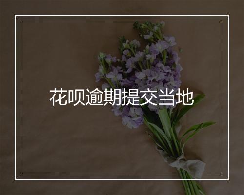 花呗逾期提交当地