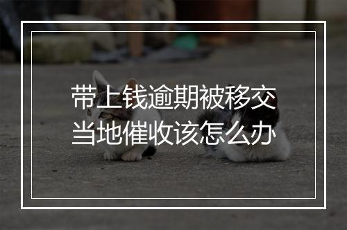 带上钱逾期被移交当地催收该怎么办