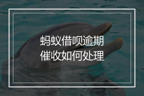 蚂蚁借呗逾期催收如何处理