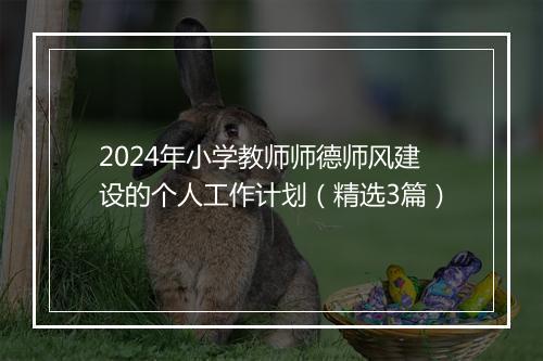 2024年小学教师师德师风建设的个人工作计划（精选3篇）
