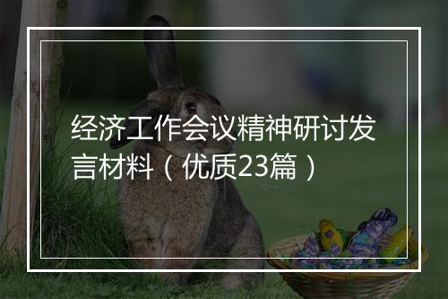 经济工作会议精神研讨发言材料（优质23篇）