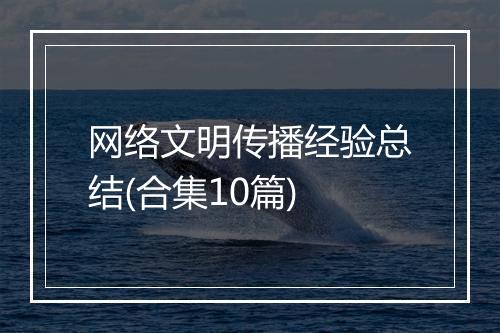 网络文明传播经验总结(合集10篇)