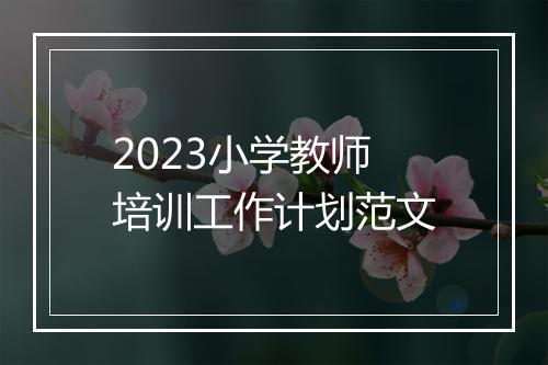 2023小学教师培训工作计划范文