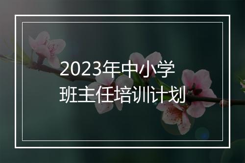 2023年中小学班主任培训计划