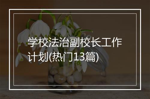 学校法治副校长工作计划(热门13篇)