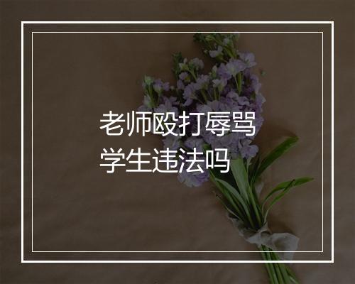 老师殴打辱骂学生违法吗