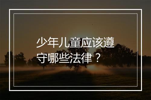 少年儿童应该遵守哪些法律？