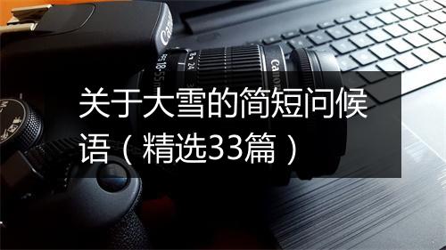 关于大雪的简短问候语（精选33篇）