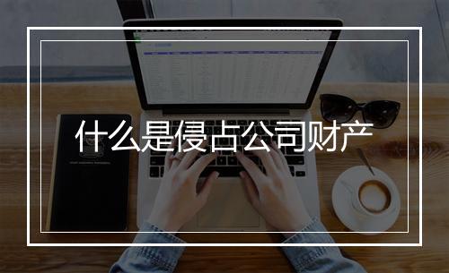 什么是侵占公司财产