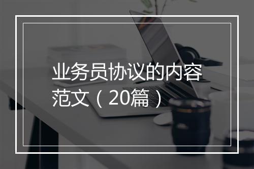 业务员协议的内容范文（20篇）