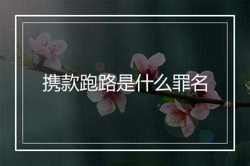 携款跑路是什么罪名