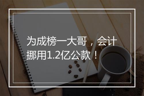为成榜一大哥，会计挪用1.2亿公款！