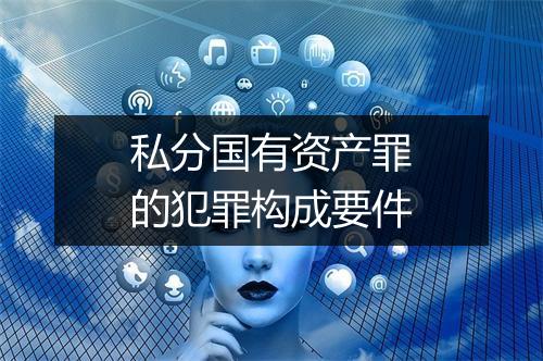 私分国有资产罪的犯罪构成要件
