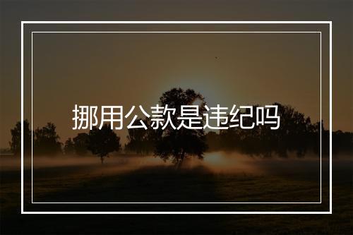 挪用公款是违纪吗