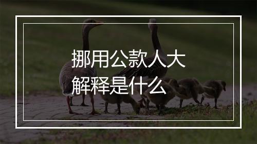 挪用公款人大解释是什么