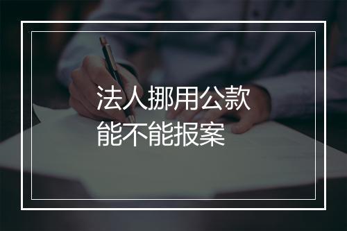 法人挪用公款能不能报案