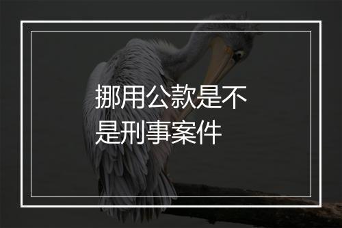 挪用公款是不是刑事案件
