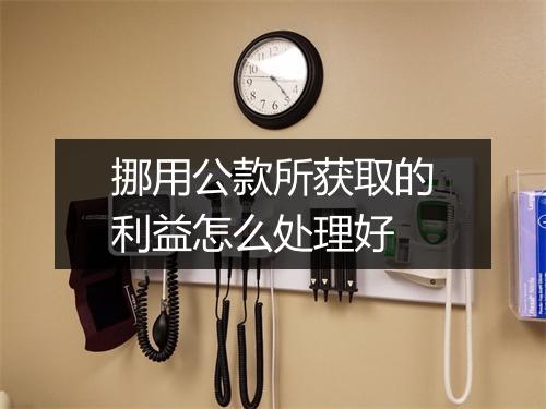 挪用公款所获取的利益怎么处理好