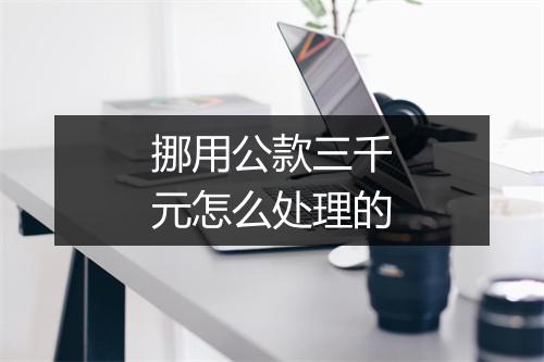 挪用公款三千元怎么处理的