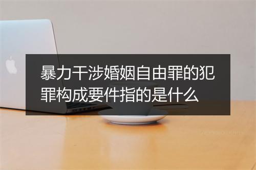 暴力干涉婚姻自由罪的犯罪构成要件指的是什么