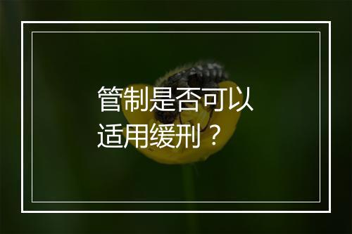 管制是否可以适用缓刑？