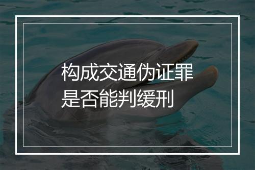 构成交通伪证罪是否能判缓刑
