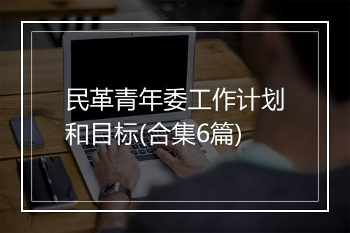 民革青年委工作计划和目标(合集6篇)