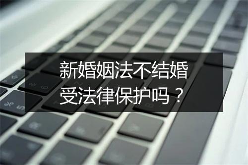 新婚姻法不结婚受法律保护吗？