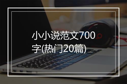 小小说范文700字(热门20篇)